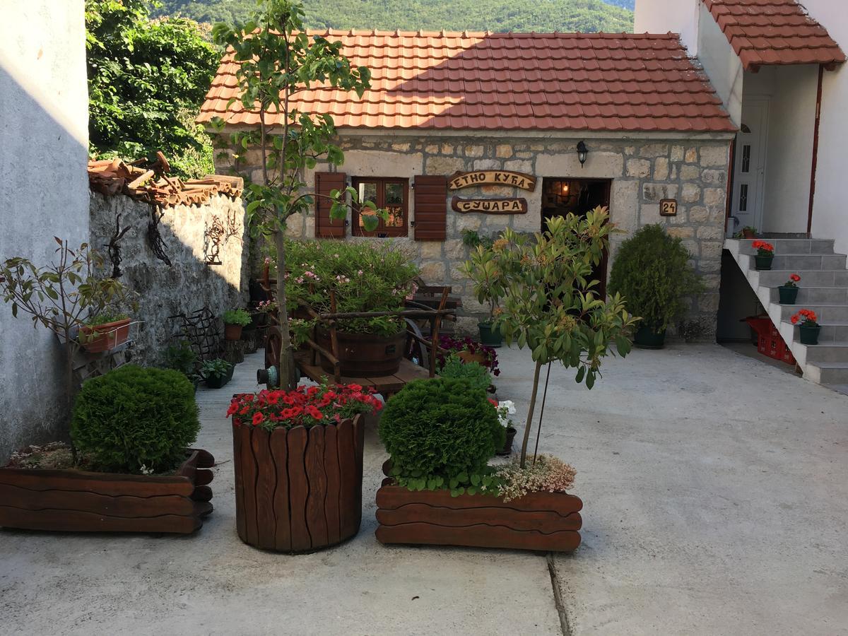 Bnb Njeguska Sijela Njegusi Exterior foto